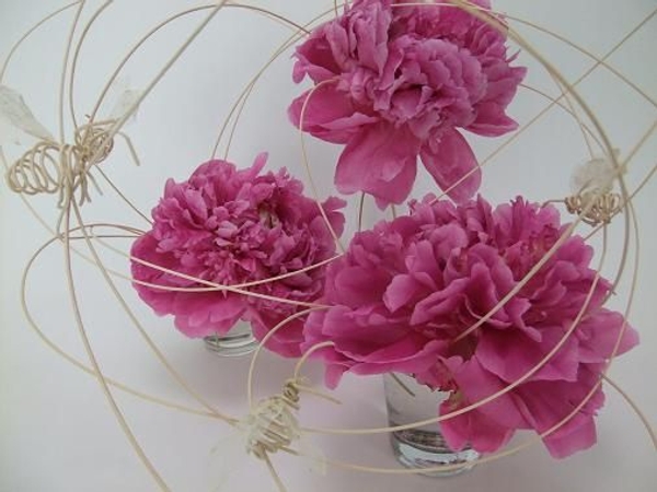 Three pink peonies