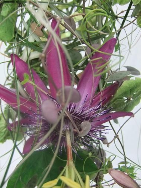 Wrap the tendrils, vine and ripped foliage around the wire armature. Wrap the tendrils, vine and ripped foliage around the wire armature.