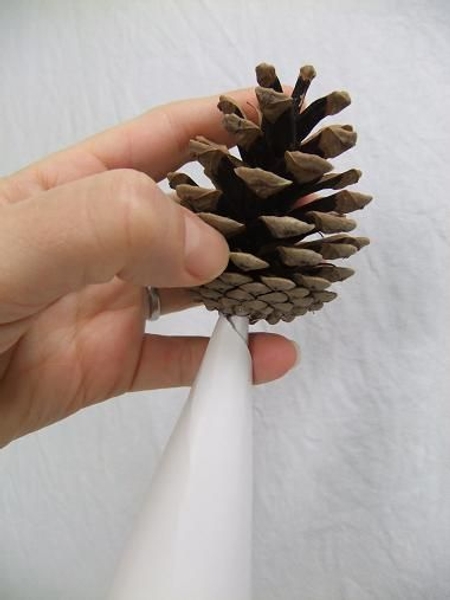 Glue the first pine cone to the paper cone. Glue the first pine cone to the paper cone.