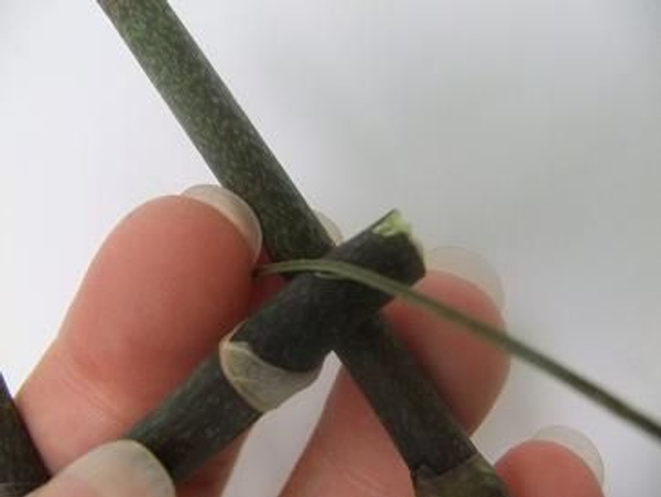 Lashing is a great way to tie two sticks together Lashing is a great way to tie two sticks together