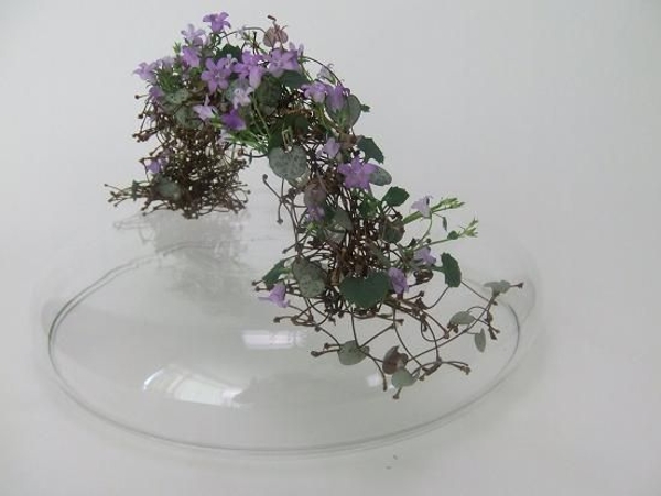 Over the Blue floral art design Over the Blue floral art design