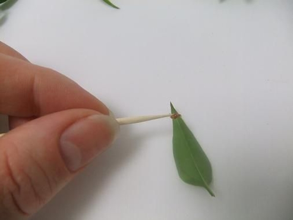 Place a tiny drop of glue on the tip of the leaf Place a tiny drop of glue on the tip of the leaf