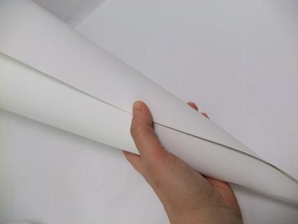 Roll a large sheet of cardboard into a cone.jpg Roll a large sheet of cardboard into a cone.jpg