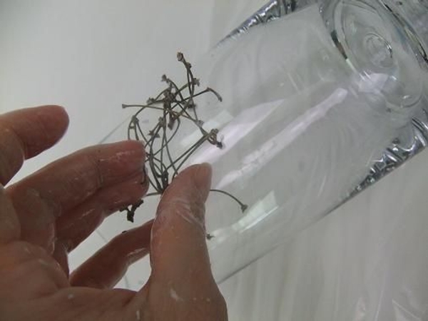 Start to stack the stems to arch over the vase. Start to stack the stems to arch over the vase.