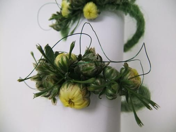 Tight chrysanthemum buds with jasmine Tight chrysanthemum buds with jasmine