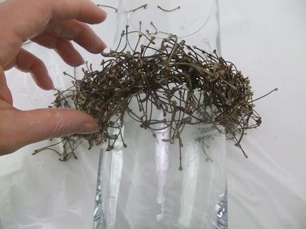 To create a strong yet delicate arch armature To create a strong yet delicate arch armature