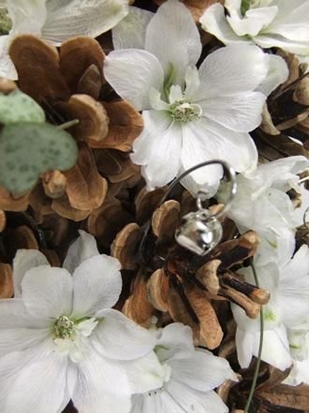 White delphinium and pinecone White delphinium and pinecone