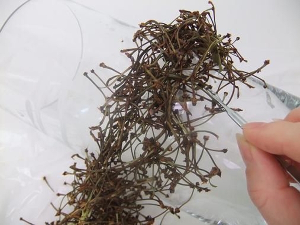 Wiggle the twigs to loosen it Wiggle the twigs to loosen it