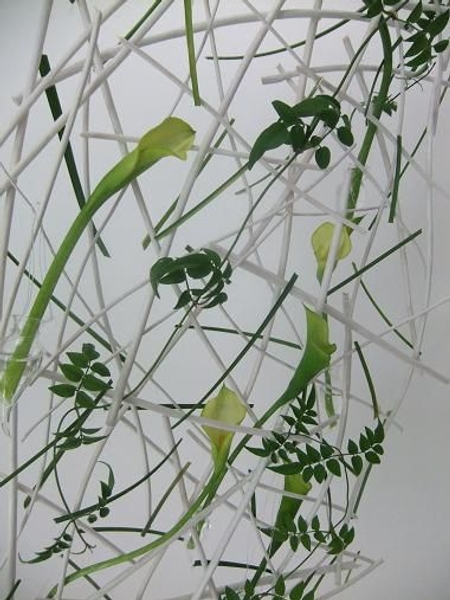 Calla lily and jasmine tendrils. Calla lily and jasmine tendrils.