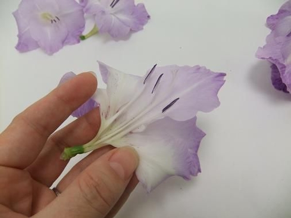 Creating a beautiful flat flower to wrap. Creating a beautiful flat flower to wrap.