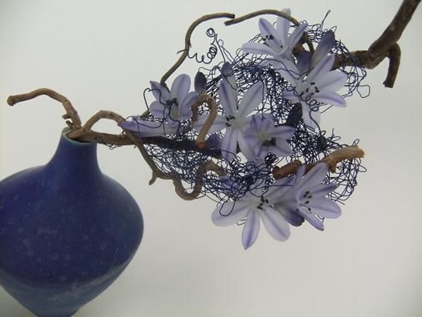 Curly hazel and curly wire armature Curly hazel and curly wire armature