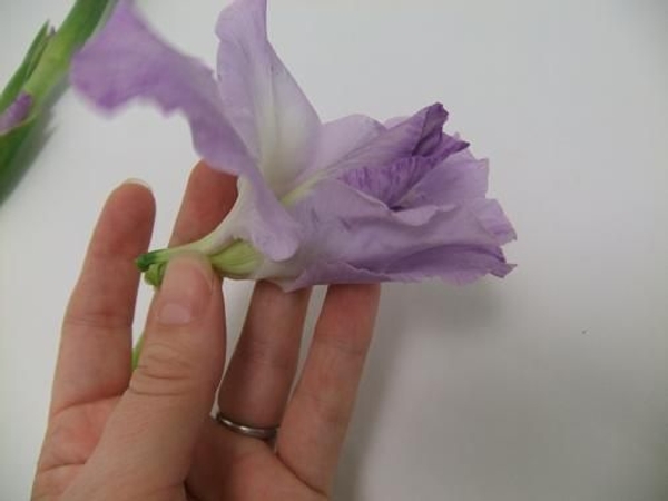 Fit a closed bud between the split flower petals and gently wrap Fit a closed bud between the split flower petals and gently wrap