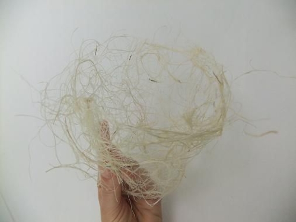 Roll the half moon shape to create a tube. Roll the half moon shape to create a tube.