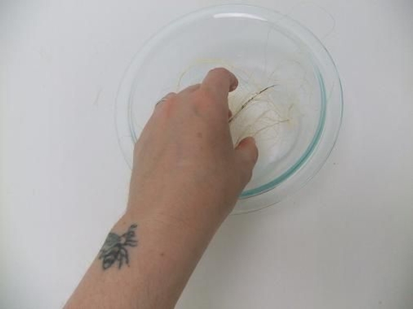 Soak some sisal fibers in the thinned glue mixture. Soak some sisal fibers in the thinned glue mixture.