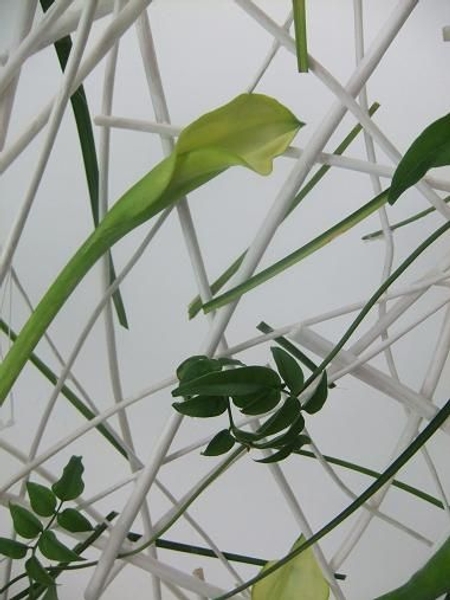 Stacked twigs and calla rectangle Stacked twigs and calla rectangle