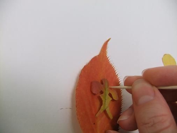 Cut out the lobe leaf and trace a second lobe Cut out the lobe leaf and trace a second lobe