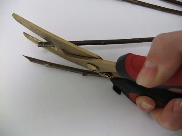Cut the one end at a very sharp angle Cut the one end at a very sharp angle