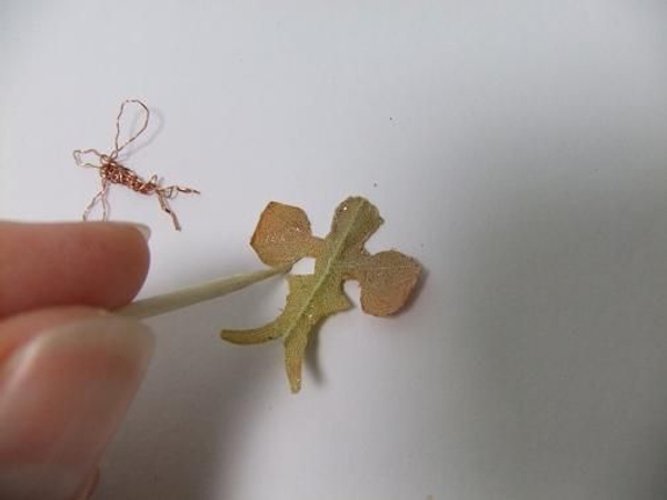 Evenly spread floral adhesive on the leaf lobe. Evenly spread floral adhesive on the leaf lobe.