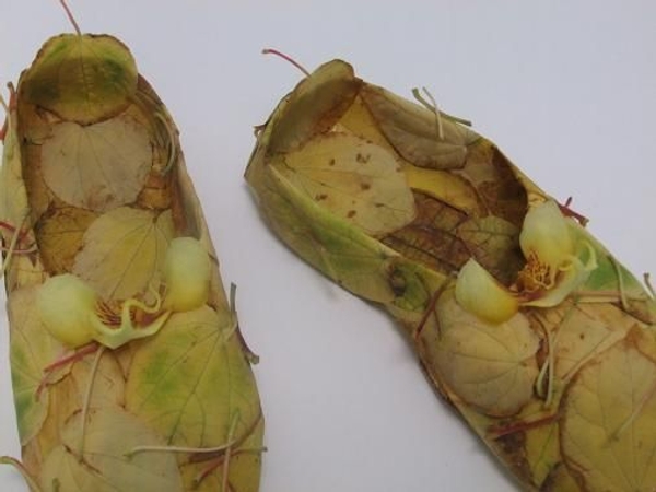 Fall floral craft Fall floral craft