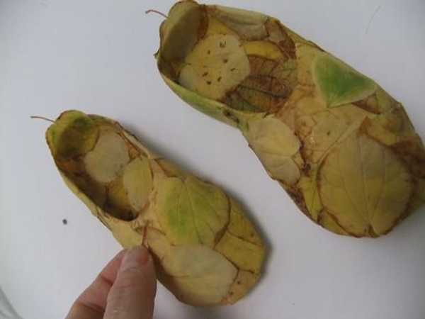 Glue on the leaf stems to add texture Glue on the leaf stems to add texture
