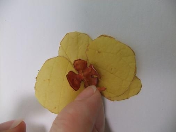 Glue the lobe in the center Glue the lobe in the center