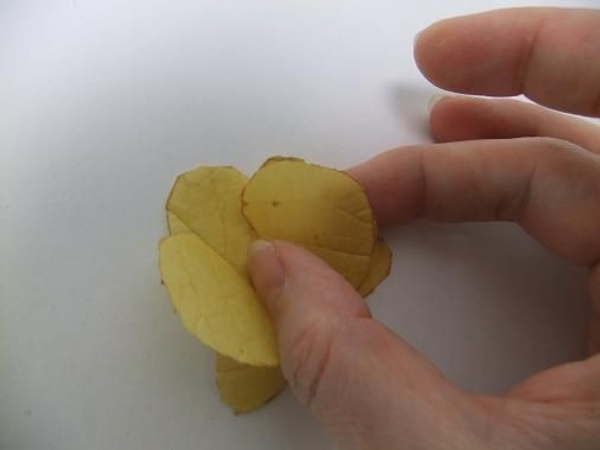 Glue the petals to the sepels Glue the petals to the sepels