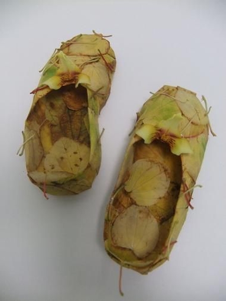Orchid and fall leaves to make ballet slippers Orchid and fall leaves to make ballet slippers