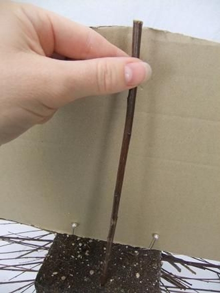 Spear in the first twig Spear in the first twig