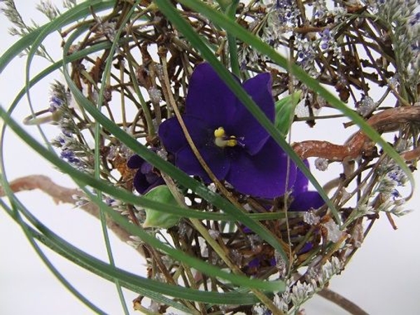 African violets tucked deep in the twig heart. African violets tucked deep in the twig heart.