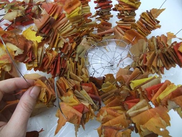 And more leaves And more leaves