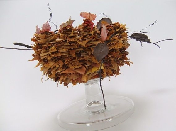 Autumn leaf structure Autumn leaf structure