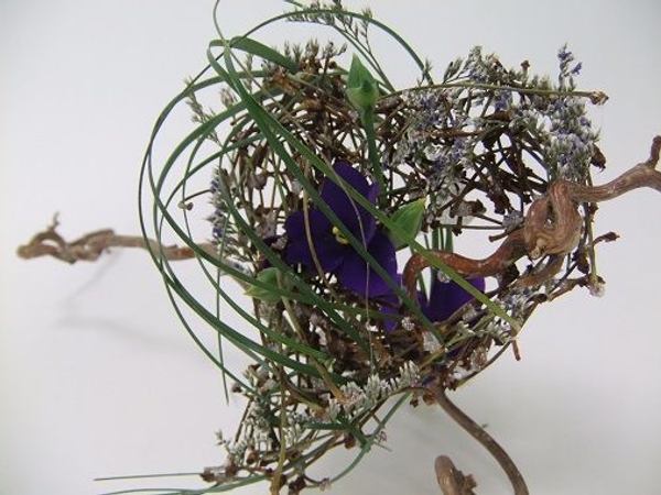 Conditioning plant material for floral design Conditioning plant material for floral design