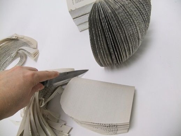 Cut the second book Cut the second book