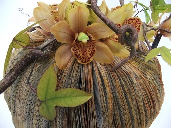 Cymbidium orchids and passion fruit vine Cymbidium orchids and passion fruit vine
