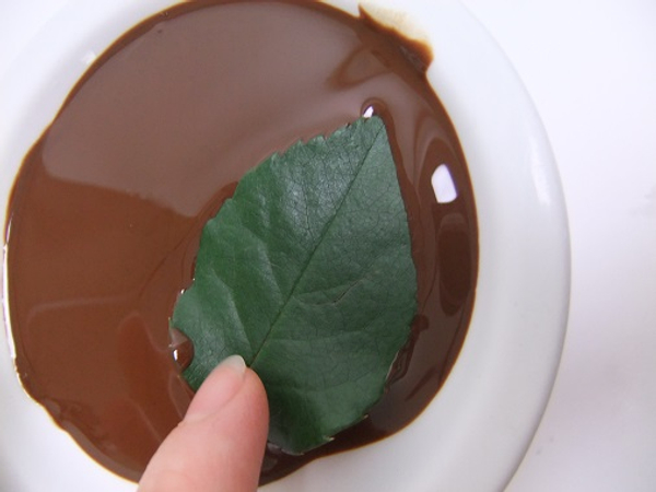 Dip the leaf in chocolate
