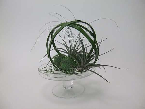 Excogitate floral art design. Excogitate floral art design.