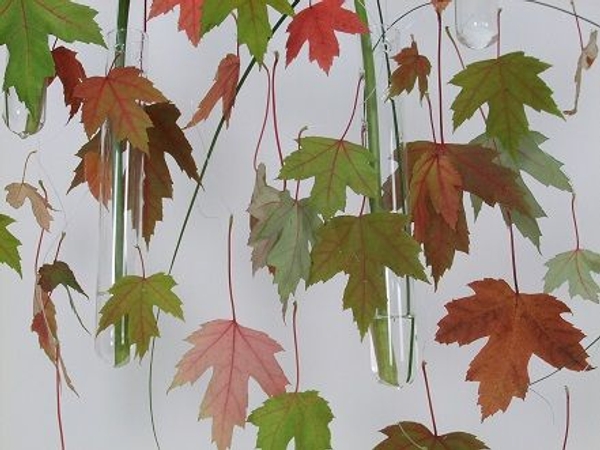 Fall leaf design. Fall leaf design.