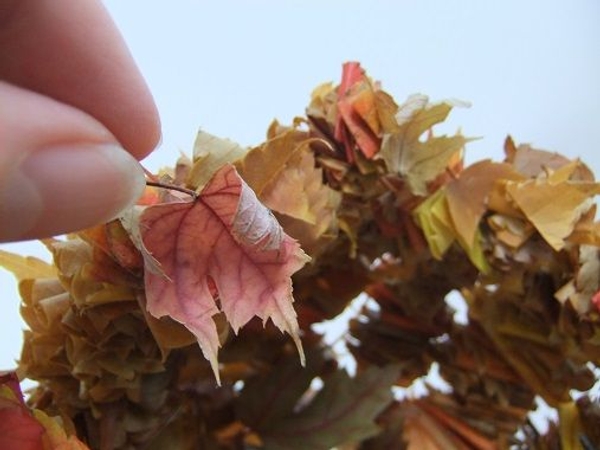 Glue a leaf over the wire end to secure