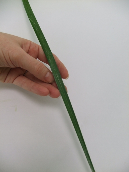 Spread floral glue on both leaf halves Spread floral glue on both leaf halves