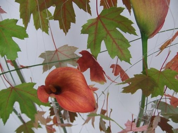 Stringing Arum lilies Stringing Arum lilies