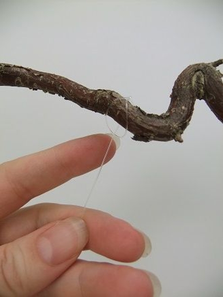Thread the leg of the line through the loop to catch around the twig Thread the leg of the line through the loop to catch around the twig