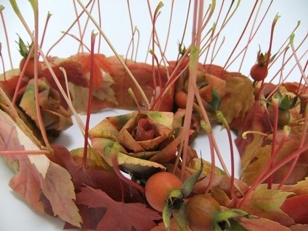 Autumn leaf design. Autumn leaf design.