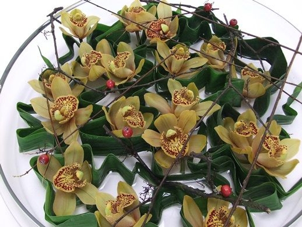 Cymbidium orchid design Cymbidium orchid design