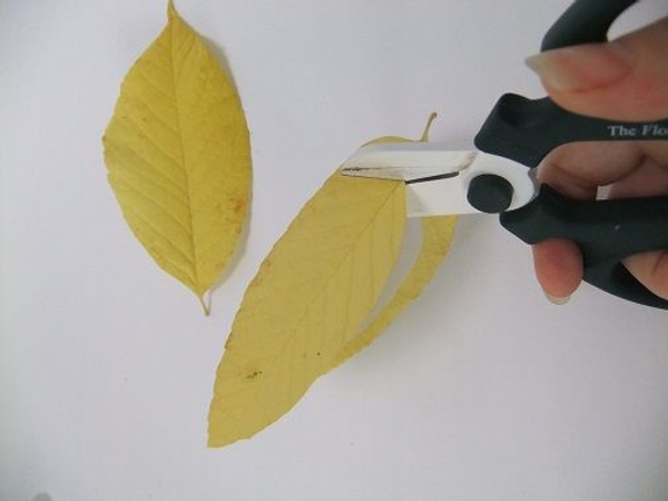 Follow the shape of the leaf Follow the shape of the leaf
