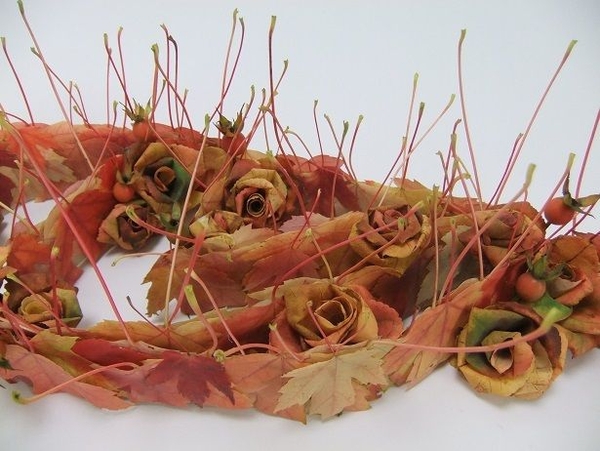 Rose hips and fall foliage roses Rose hips and fall foliage roses
