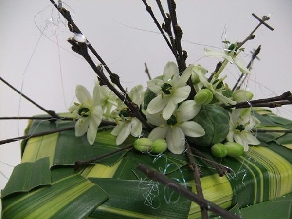 Brussel sprout floral design Brussel sprout floral design