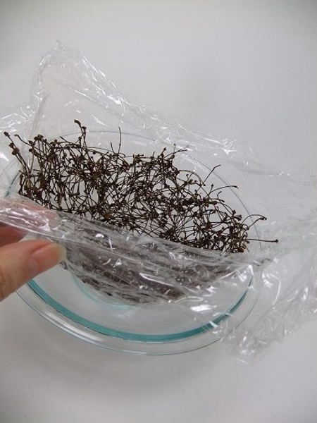 Carefully lift the twigs from the bowl Carefully lift the twigs from the bowl