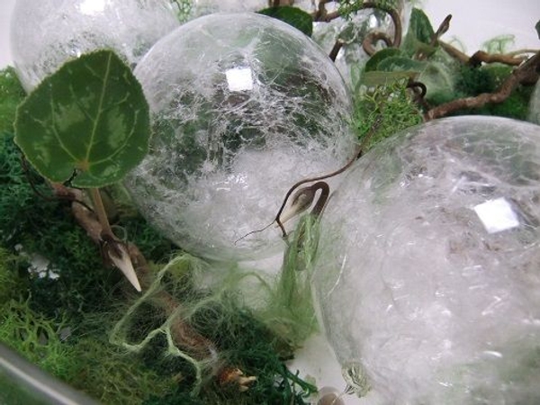Glass and moss Glass and moss