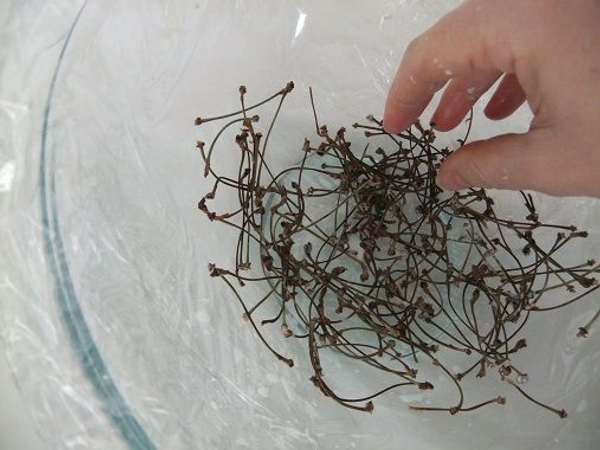 Keep adding twigs. Keep adding twigs.