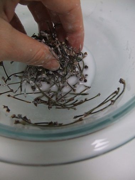 Mix to soak the twigs with glue Mix to soak the twigs with glue